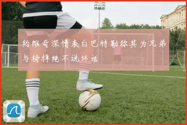 约维奇深情表白巴特勒称其为兄弟与榜样绝不说坏话